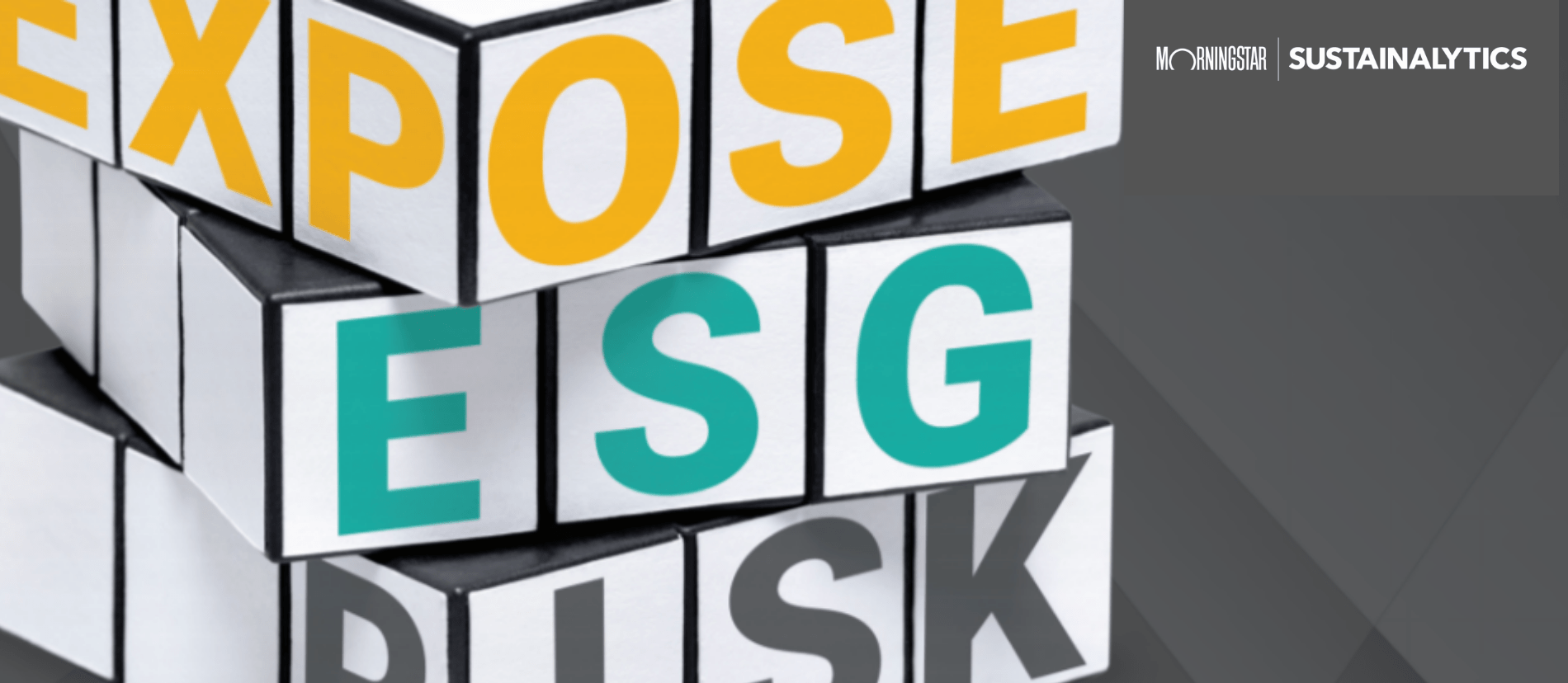 Material ESG Issues Product Governance